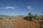Tswalu Road and View