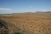 Kalahari Vista