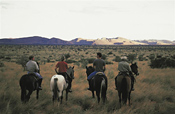 Horseback Riding at Tswalu