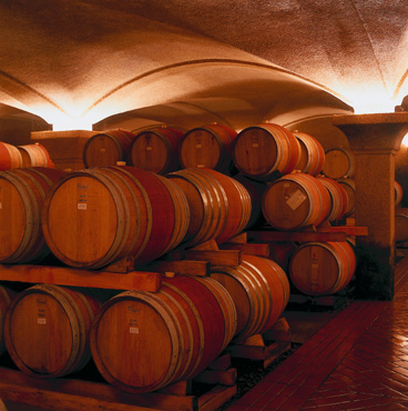 Maturation cellar and barrels at Constantia Uitsig Estate