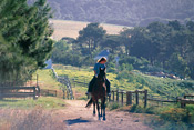 Horseback riding, Constantia Uitsig Country Hotel