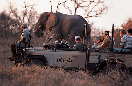 The Ulusaba area is well-known for big game sightings