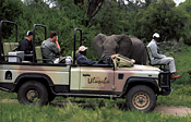 Guests enjoy an up-close encounter with an Elephant