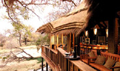 Safari Lodge is built on stilts amongst riverine bush