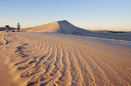 Sand Dunes - De Hoop Nature Reserve