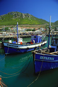 Kalk Bay Harbour, Kalk Bay, South Africa