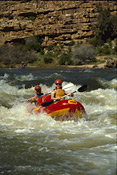 White Water Rafting, Doorn River, South Africa
