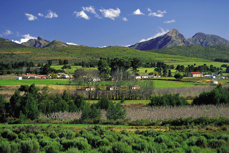 Klein Karoo Farmlands, South Africa