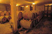 Hamilton Russel Vineyard Maturation Cellar