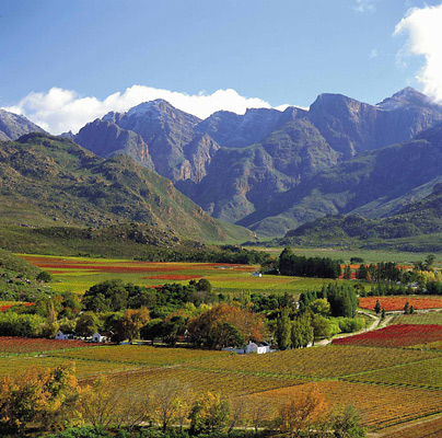 The fertile Hex River Valley of South Africa