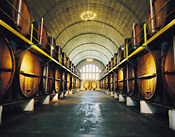 KWV's renowned "Cathedral Cellar" - Paarl, South Africa