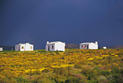 Cottages between Villiersdorp and Worcester, South Africa