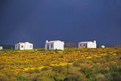 Cottages between Villiersdorp and Worcester, South Africa