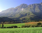 Simonsberg Mountain, Stellenbosch