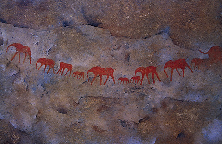 Bushman Paintings in the Bushmanskloof, South Africa