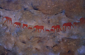 Bushman Paintings in the Bushmanskloof, South Africa