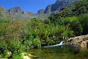 Mountain stream, Cederberg Mountains, South Africa