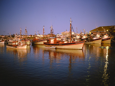 Lambert's Bay Harbour, West Coast of South Africa