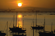 Boats at sunrise, Saldanha Bay, South Africa