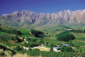 Tulbagh Orchards and Winterhoek Mountains