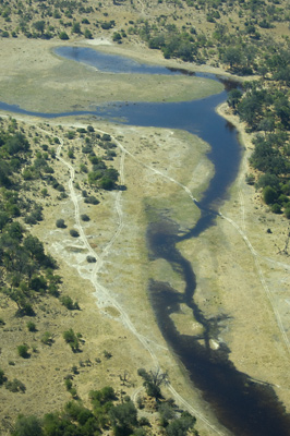 Water in the Savuti Channel