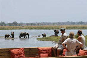 Elephants at Ruckomechi Camp