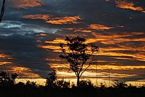 Sunset at Davison's Camp in Zimbabwe