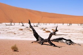 Desert landscape at Little Kulula Camp